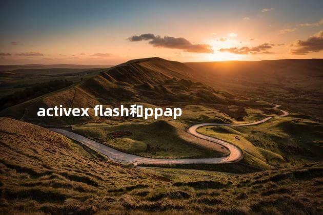 activex flash和ppapi flash的区别 activex flash可以安装吗